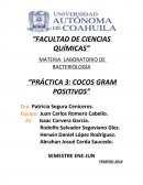 PRÁCTICA 3: COCOS GRAM POSITIVOS