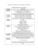 PROPUESTA EN IDIOMA INGLES DE UN PRODUCTO