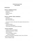 PROYECTOS CUALITATIVOS ÍNDICE GENERAL
