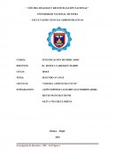 Analisis de mercado producto volt