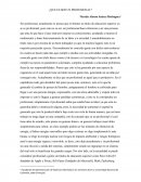 ¿Que es ser un profesional?