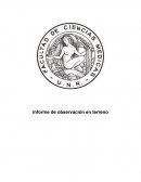 Informe de observación en terreno