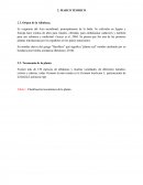 Origen, taxonomía y usos de la Albahaca: Un marco teórico