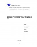 IMPORTANCIA DE LAS PLANTAS ORNAMENTALES EN EL EMBELLECIMIENTO DEL MEDIO AMBIENTE DE LAS ESCUELAS DEL MUNICIPIO SAN FERNANDO