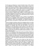 Bienestar animal La Perla