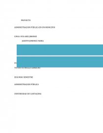 PROYECTO ADMINISTRACION PÚBLICA EN UN MUNICIPIO. Página 1