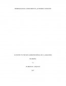 POSIBILIDAD DEL CONOCIMIENTO, ¿ES POSIBLE CONOCER?
