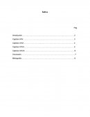 Leviatan capitulo 25-28