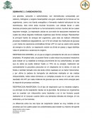 SEMINARIO 2: CARBOHIDRATOS