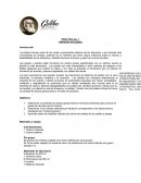 Practica Alteracion de lipidos
