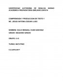 COMPRENSION Y PRODUCCION DE TEXTO 1