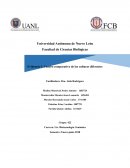 Evidencia 1. Cuadro comparativo de las culturas diferentes