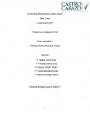 Trabajo de Investigación Final Curso mercadeo 1