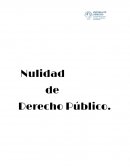 ¿Qué es la Nulidad de Derecho Público?