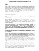 TRABAJO SOBRE LOS PRINCIPIOS FUNDAMENTALES