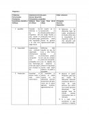 Pregunta 1 Problemas Estructurales Prioritarios