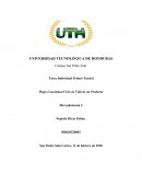 Tarea 5 Mapa Conceptual Ciclo de Vida de un Producto