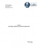 Tarea 5 Estrategias, políticas y premisas de planeación