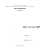 Elaboracion de un producto DANESSA SOAP