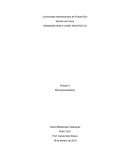 Asignacion 2 - Generaciones de Microprocesadores