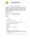 ESTUDIO DE MERCADO RICO POLLO