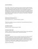 Alta de un proyecto Importación de Presupuesto de P.U.