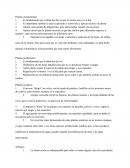 Tipos de plantas: ornamentales,medicinales