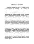 EJEMPLO DE LA COMPARACIÓN DE NAMO DE MELO