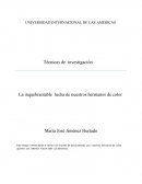 Ensayo pelicula basado en pelicula la amistad - Técnicas de investigación