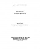 Cuadro comparativo Ensayo