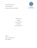 Uned historia de la cultura