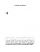 Patología de Gaucher