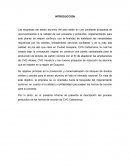 Planificacion y control de la produccion CVG Carbones del Orinoco, C.A. (CARBONORCA),