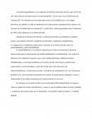 COMO SE DIO LA FISIOLOGIA DE ANEMIA MEGALOBLASTICA