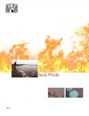 Desastre químico en Basilea