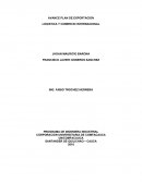 AVANCE PLAN DE EXPORTACION LOGISTICA Y COMERCIO INTERNACIONAL