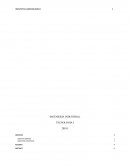 Proceso Productivo de Abonos y Fertilizante