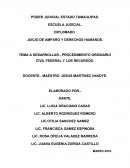 PROCEDIMIENTO ORDINARIO CIVIL FEDERAL Y LOS RECURSOS