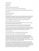 Estudiante de grado universitario Se divide en ciudades estado independientes