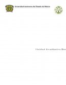 El sistema monetario internacional