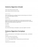 Sistema Digestivo Simple