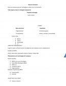 Recursos humanos para ser estratégicos y dejar de ser la cenicienta.