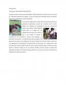 Proceso de elaboracion de ollas de barro- Técnicas de investigación