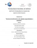 PROYECTO: "Servicio de enfermería y de cuidados especializados a domicilio"