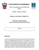 Bioética y Universidad: Trabajo Final. Final de la vida Humana (eutanasia,muerte cerebral,distanasia,ortotanasia)