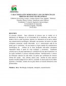 CARACTERIZACIÓN MORFOLÓGICA DE LOS PRINCIPALES ORDENES DE INSECTOS HEXAPODAS
