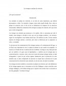 Tortugas en peligro de extinción Ensayo