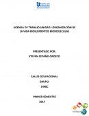Agenda de trabajo unidad I Organización de la vida bioelementos biomoleculas