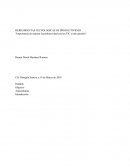 Importancia de mejorar la productividad con las TIC más actuales