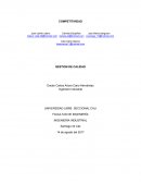 COMPETITIVIDAD Ingeniero Industrial